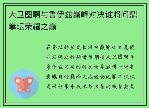 大卫图啊与鲁伊兹巅峰对决谁将问鼎拳坛荣耀之巅